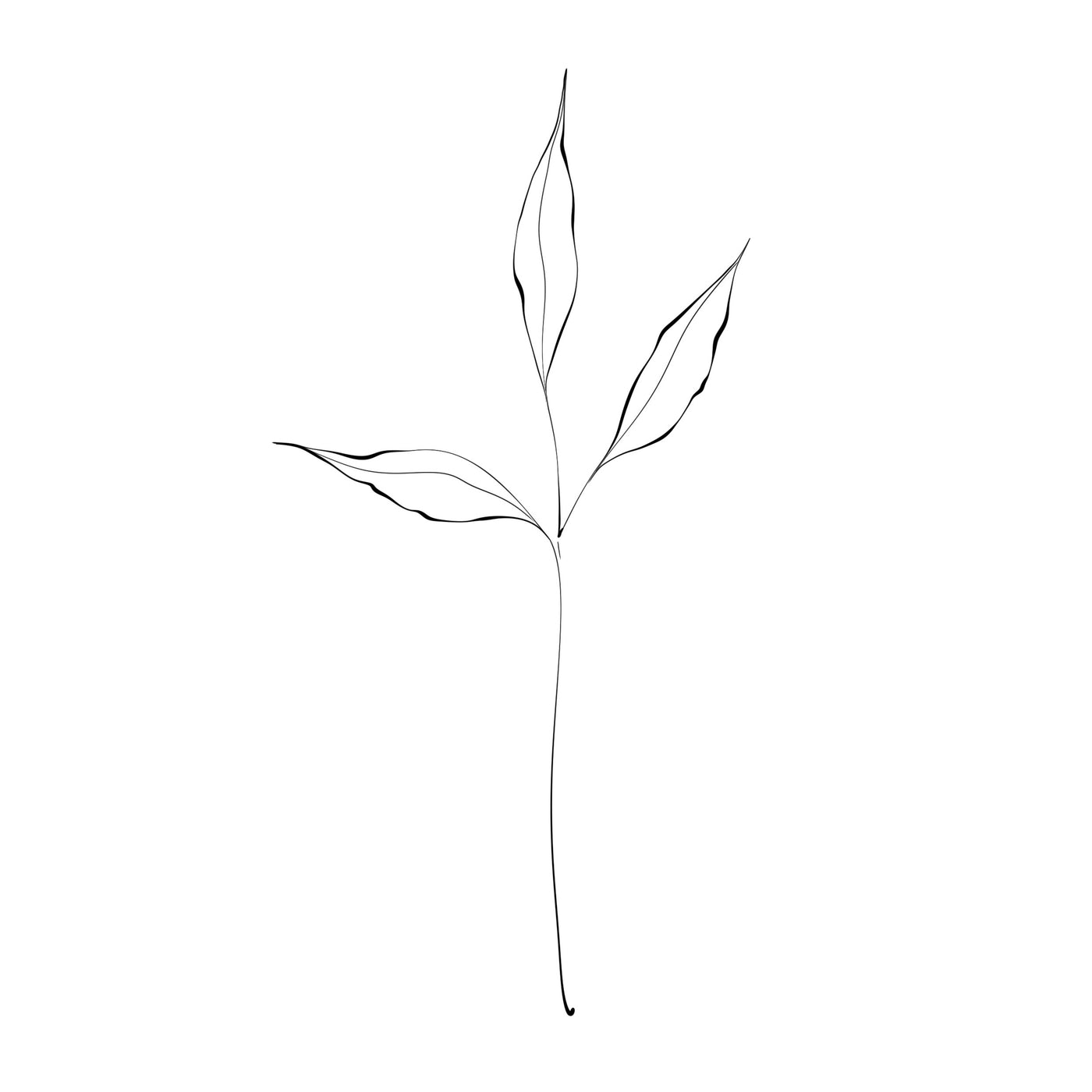 fulles línia 2
