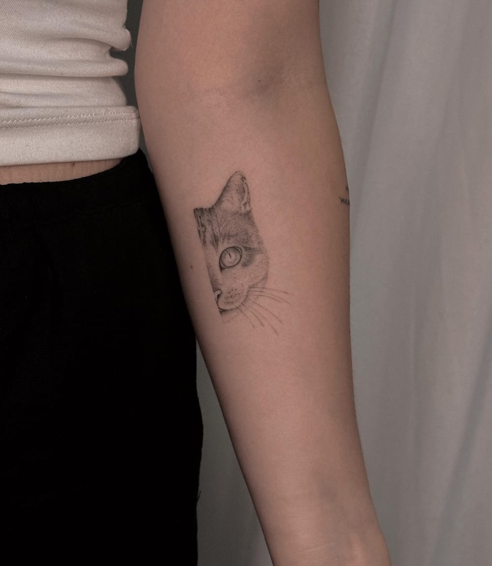 🐱❤️